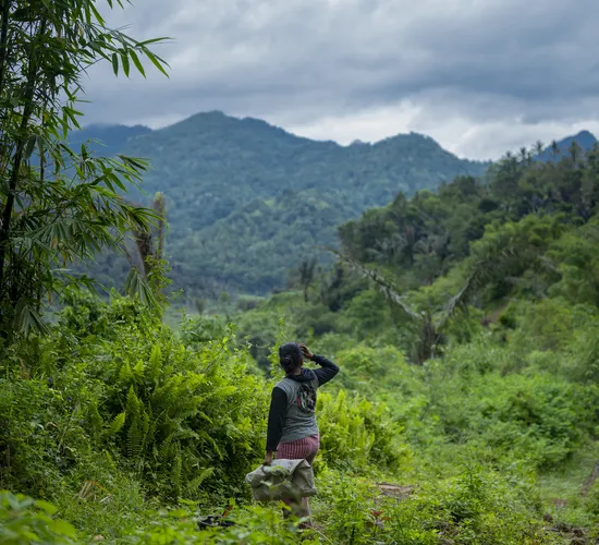 52882139733_7f1fd2f765_k (1)