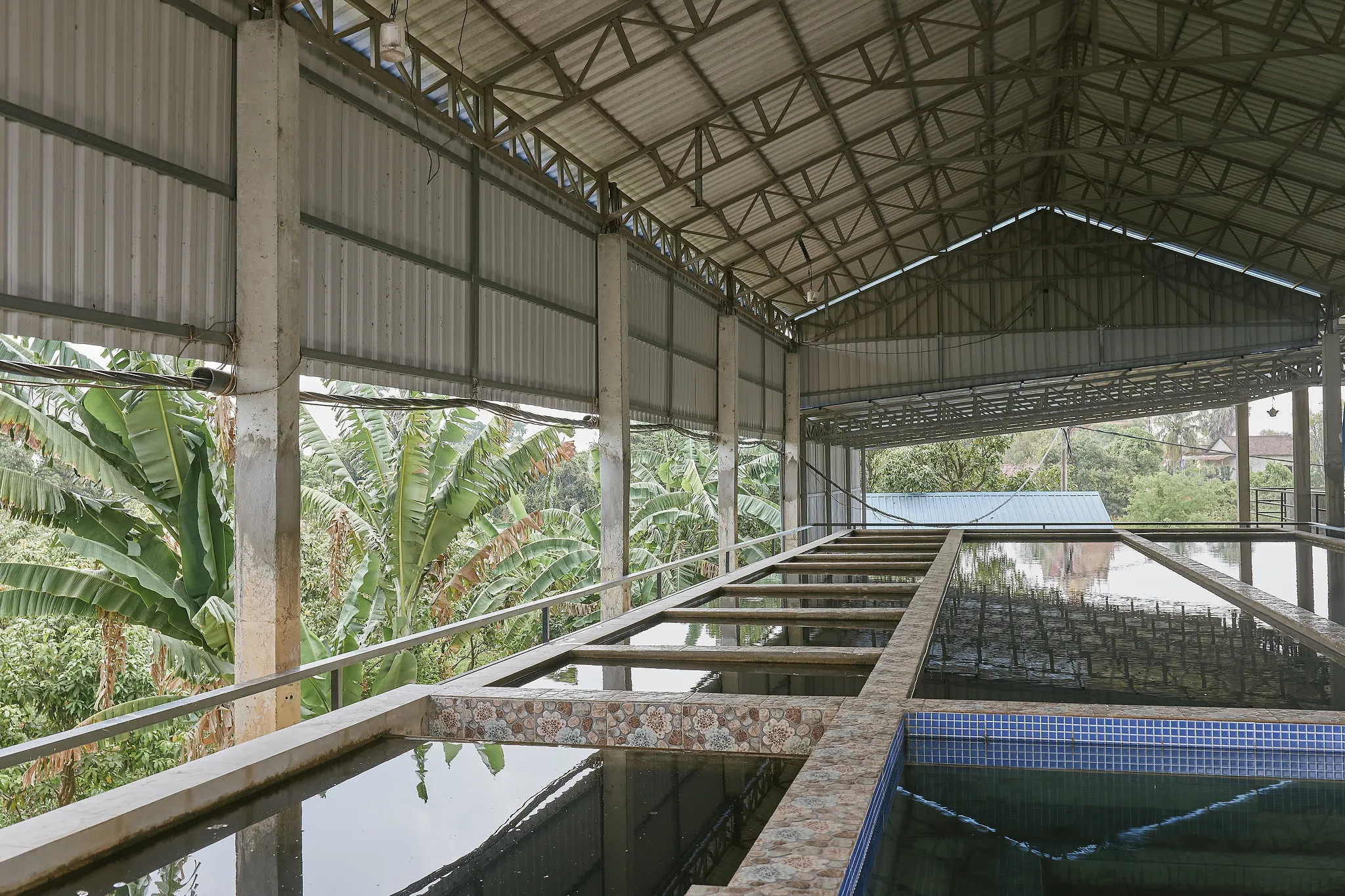 52885027423_034d7c95c5_k