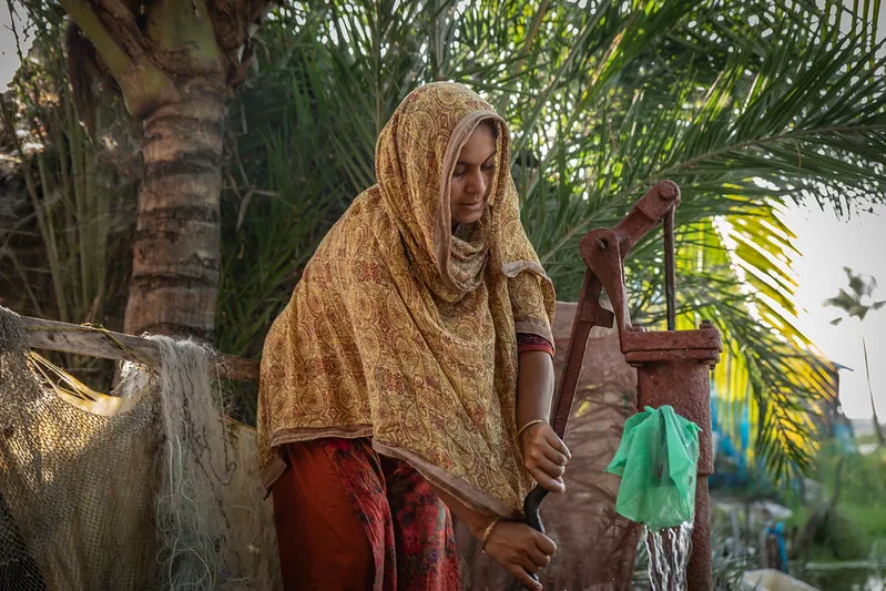 53459888428_29a8433c02_c