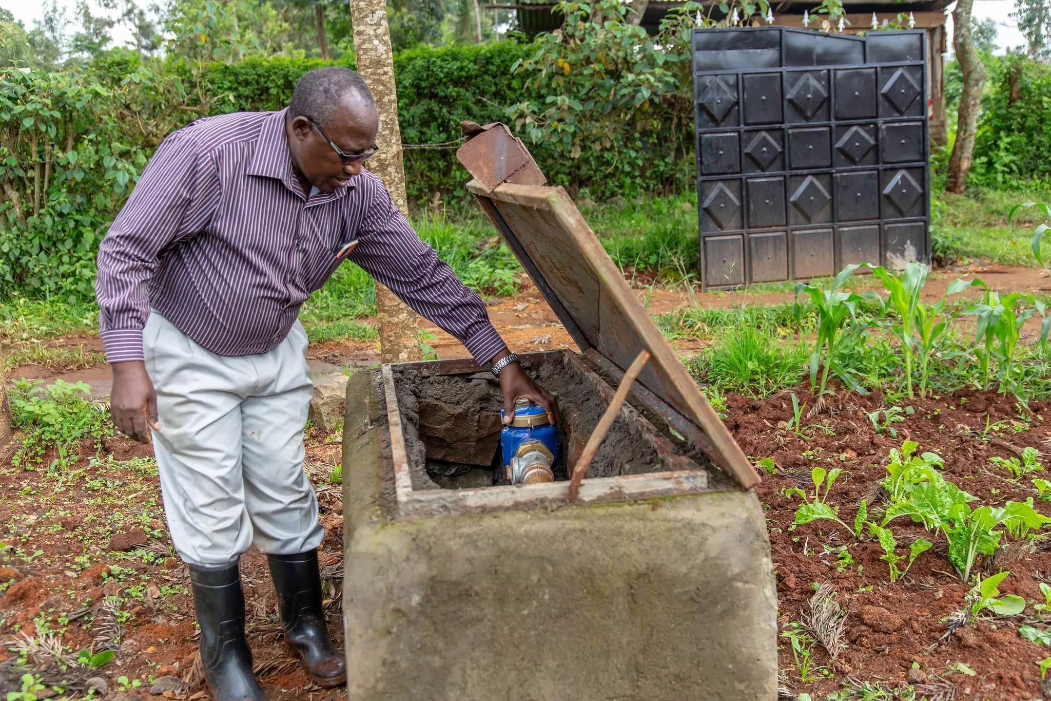 53487118190_5f7fdd0f92_k