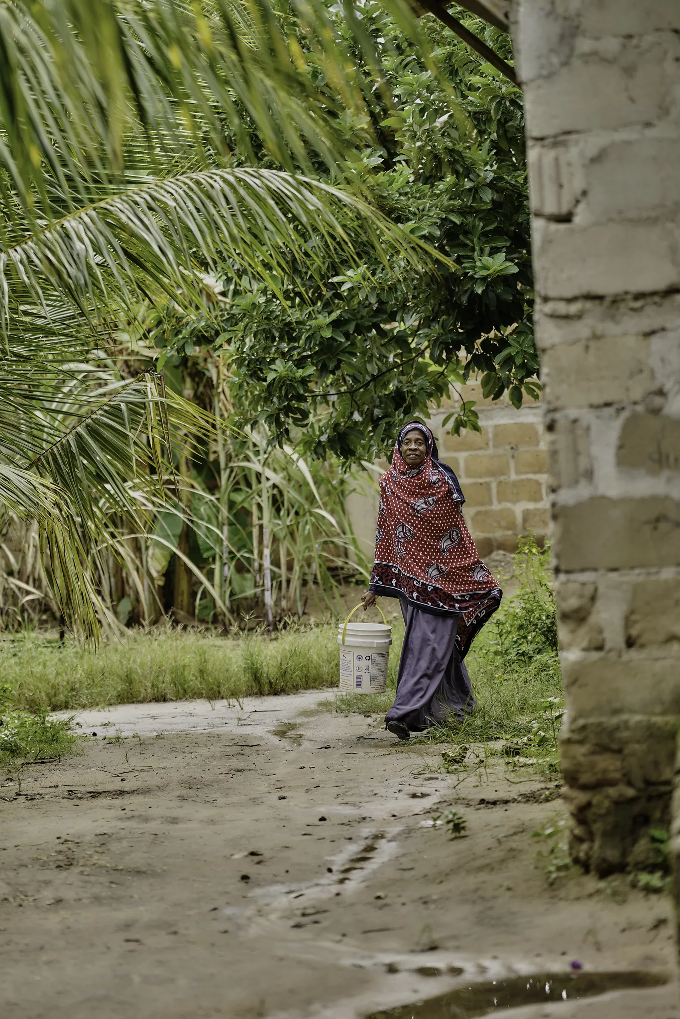 54819362717_73d07726e2_k