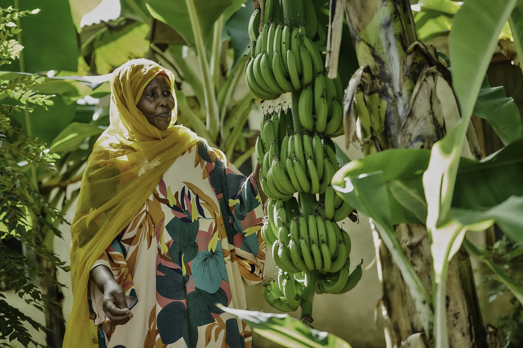 54820048071_b895d13423_k