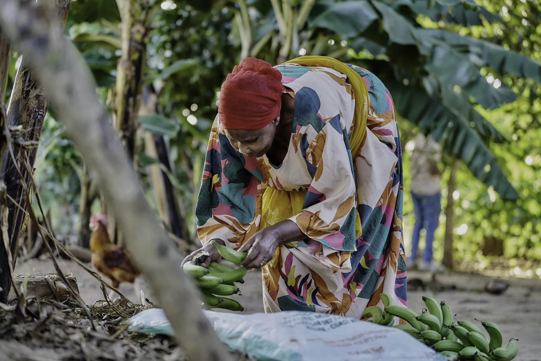 54820274724_d2fdfd2e76_k