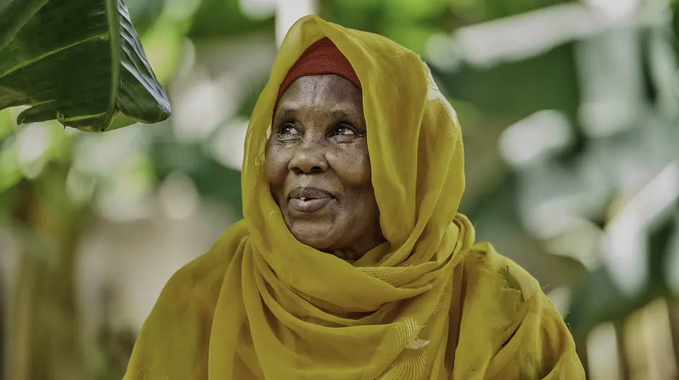 54820296273_b8a9257acc_k