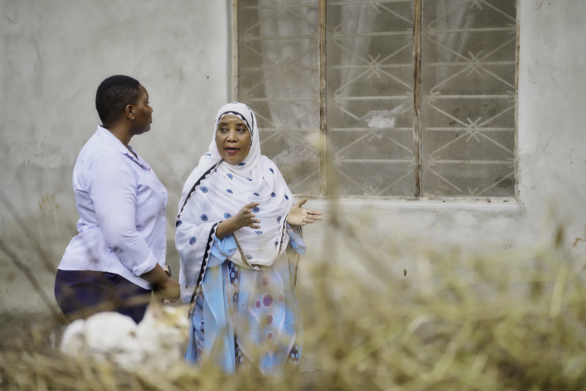 54820558845_35d357bb67_k