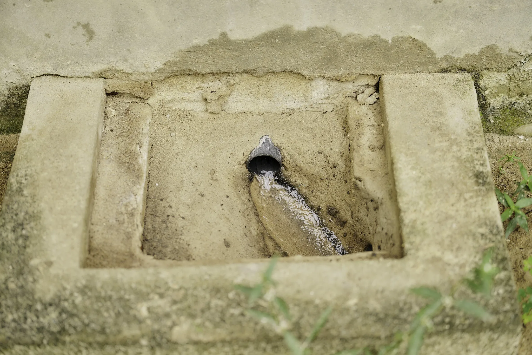 54820574649_16820001e8_k