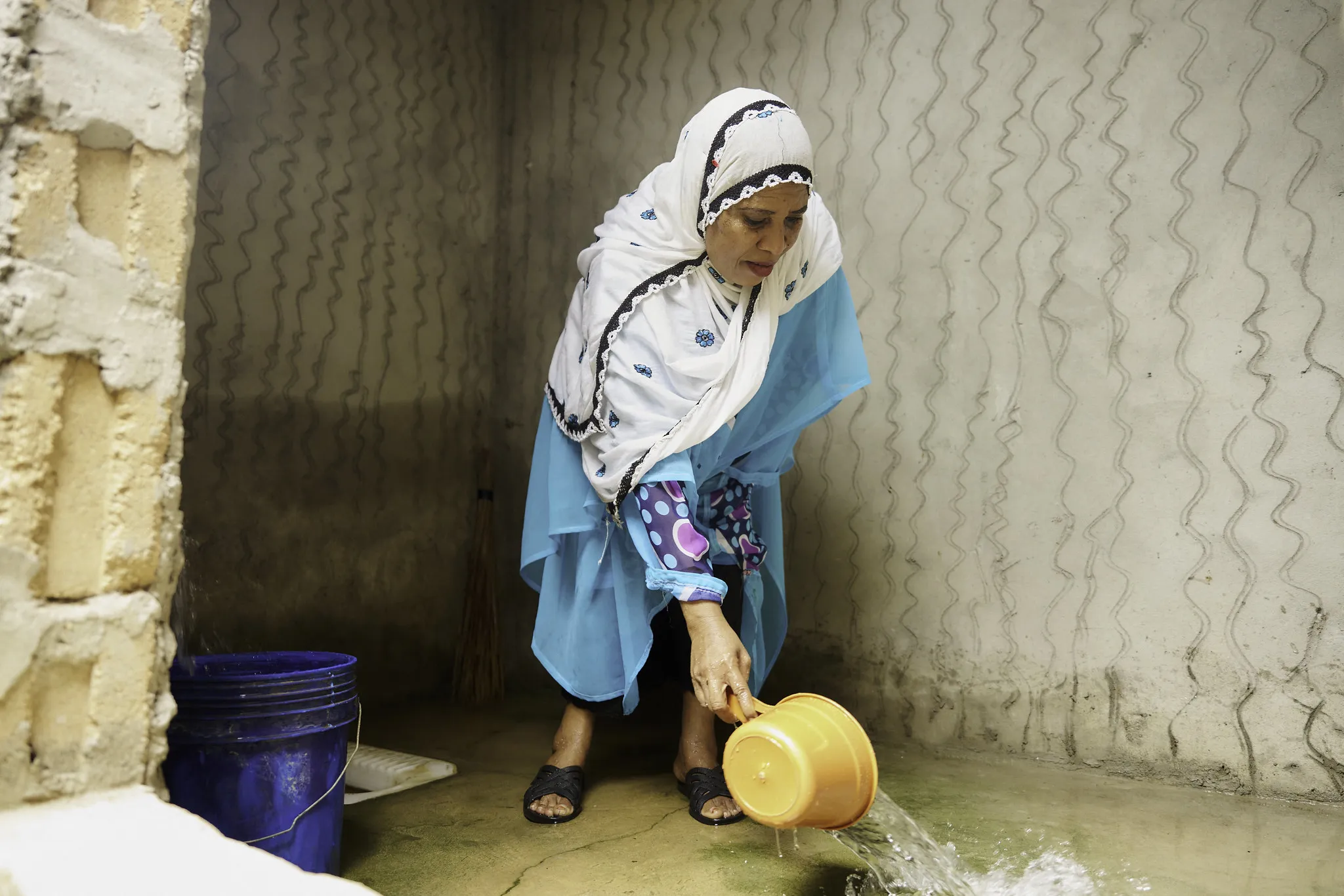 54820605923_a7462546b5_k